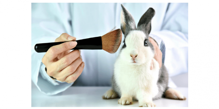 Time for Cruelty-free Cruelty-free non-animal animal testing in China